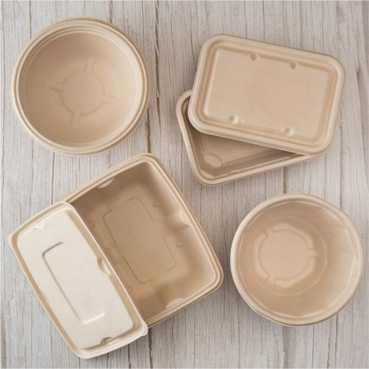 Bagasse: Transforming Plant Waste into Sustainable Everyday Products